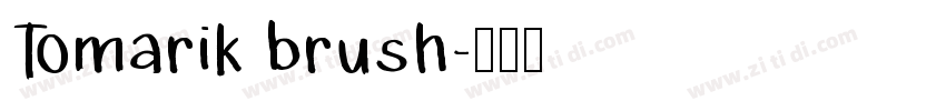 Tomarik brush字体转换